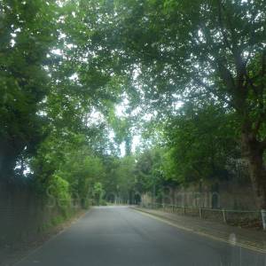 Route from Kew Green to Brentford Gate and car park