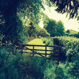 “taken before 2009”