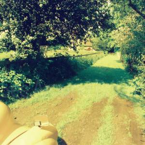 “taken before 2009”