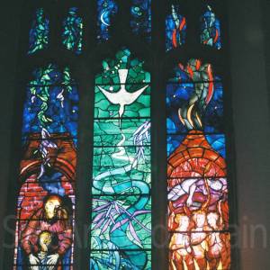 “taken before 2009”