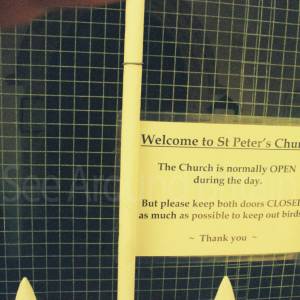 Photograph taken before 2009