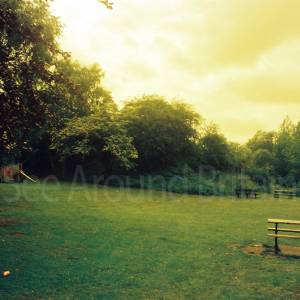 “taken before 2009”