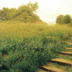 “taken before 2009”