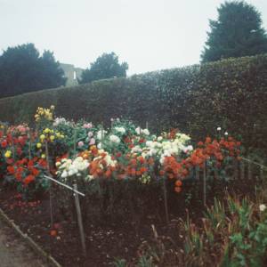 Photograph taken before 2009