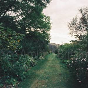 Taken before 2009