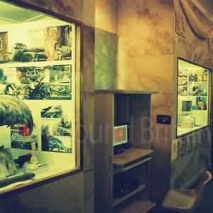 Photograph taken before 2009