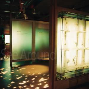 “taken before 2009”