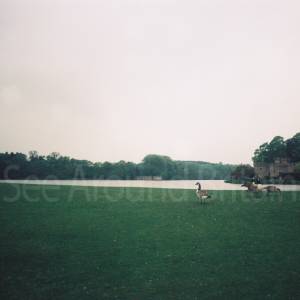 “taken before 2009”