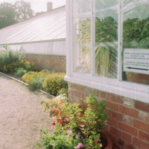 Photograph taken before 2009