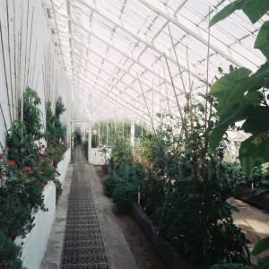 Photograph taken before 2009