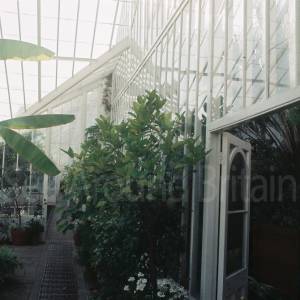 Photograph taken before 2009