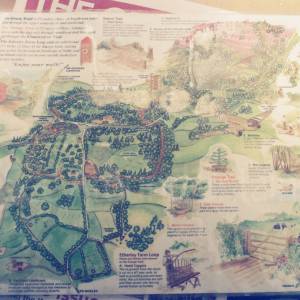 Photograph taken before 2009