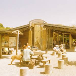 Photograph taken before 2009