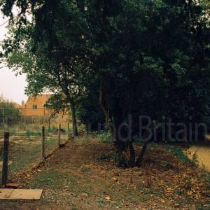 “taken before 2009”