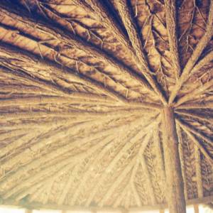 “taken before 2009”