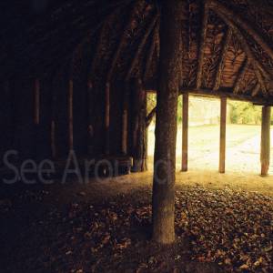 “taken before 2009”