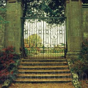 “taken before 2009”