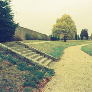 “taken before 2009”