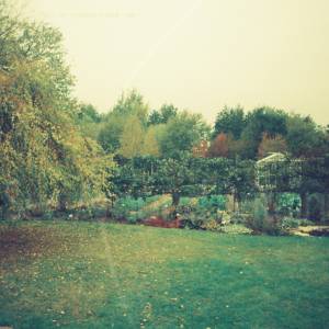 Taken before 2009