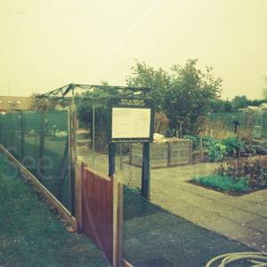 Taken before 2009
