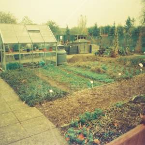 Taken before 2009