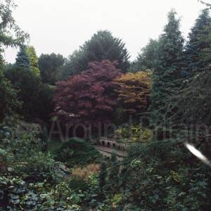 “taken before 2009”