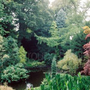 “taken before 2009”