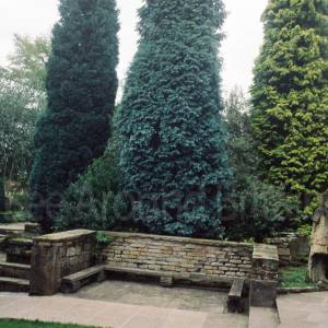 “taken before 2009”