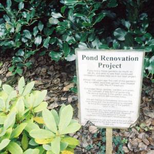 “taken before 2009”