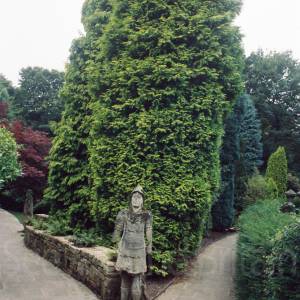 “taken before 2009”