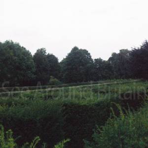 “taken before 2009”