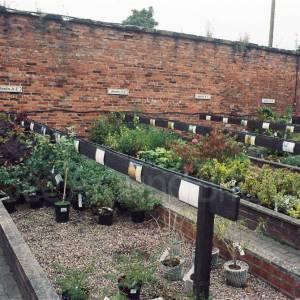 “taken before 2009”