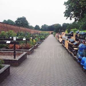 “taken before 2009”