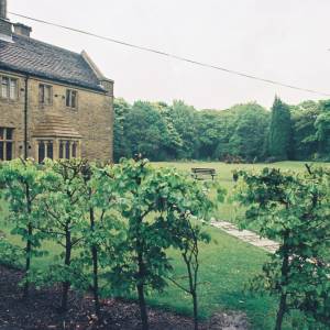 Taken before 2009