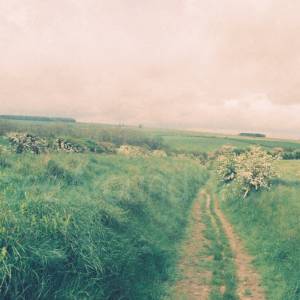 Photograph taken before 2009