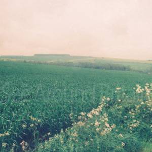 Photograph taken before 2009