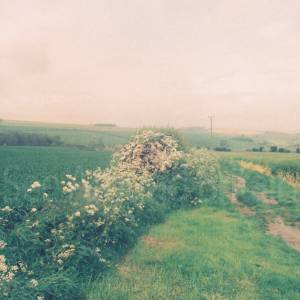 Photograph taken before 2009