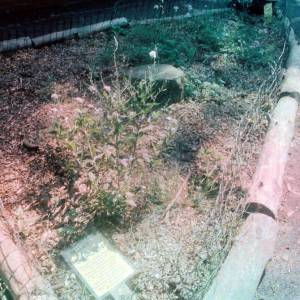 “taken before 2009”