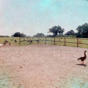 “taken before 2009”