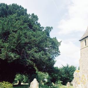 “taken before 2009”