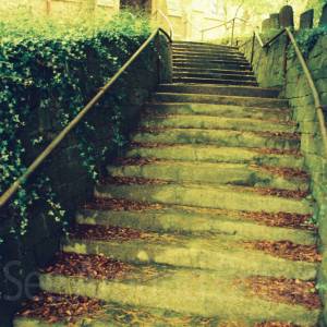 “taken before 2009”