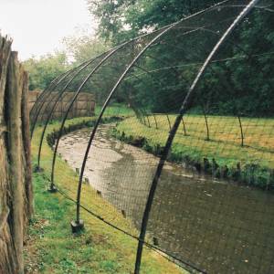 Taken before 2009