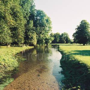 “taken before 2009”