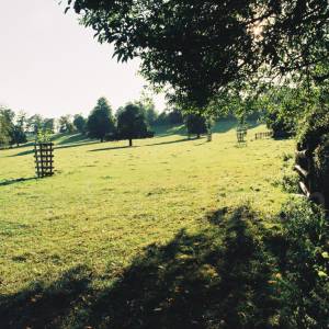 “taken before 2009”