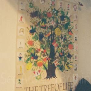 “taken before 2009”