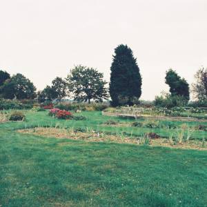 Taken before 2009