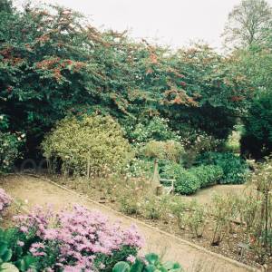 Taken before 2009