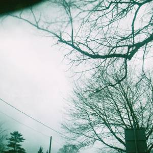 “taken before 2009”