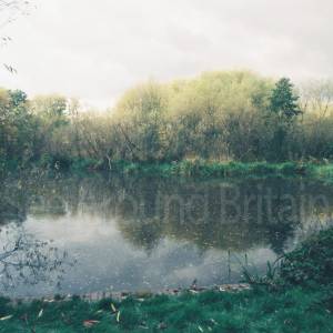 “taken before 2009”