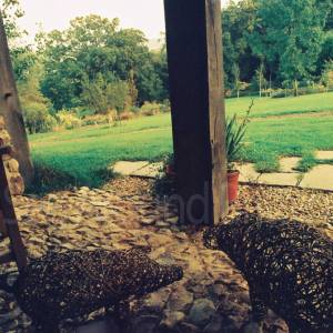 Photograph taken before 2009